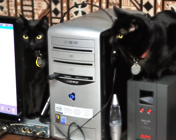 I Has Computer Security (click for monster image)