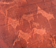 Antelope - click for larger image